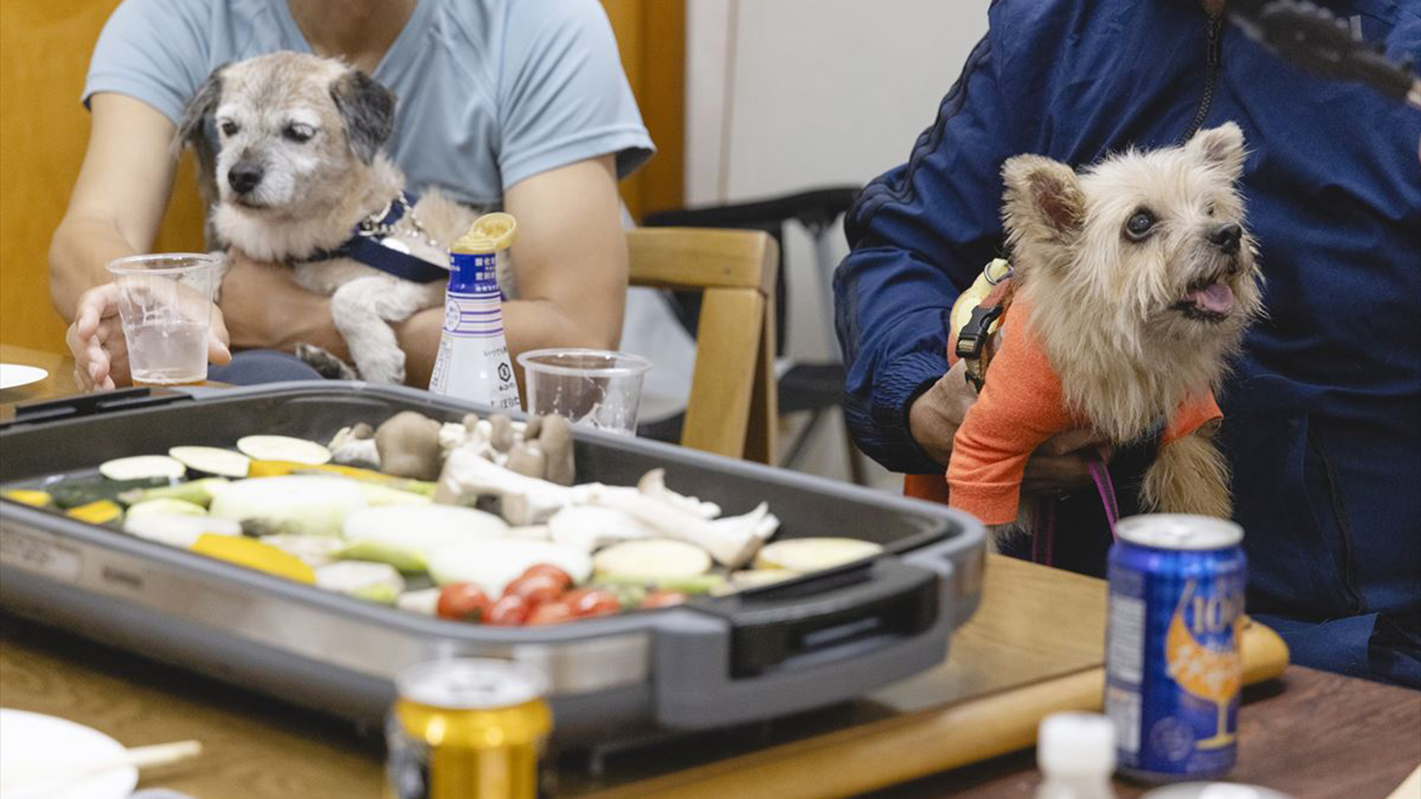 【わんちゃんと一緒にお食事】