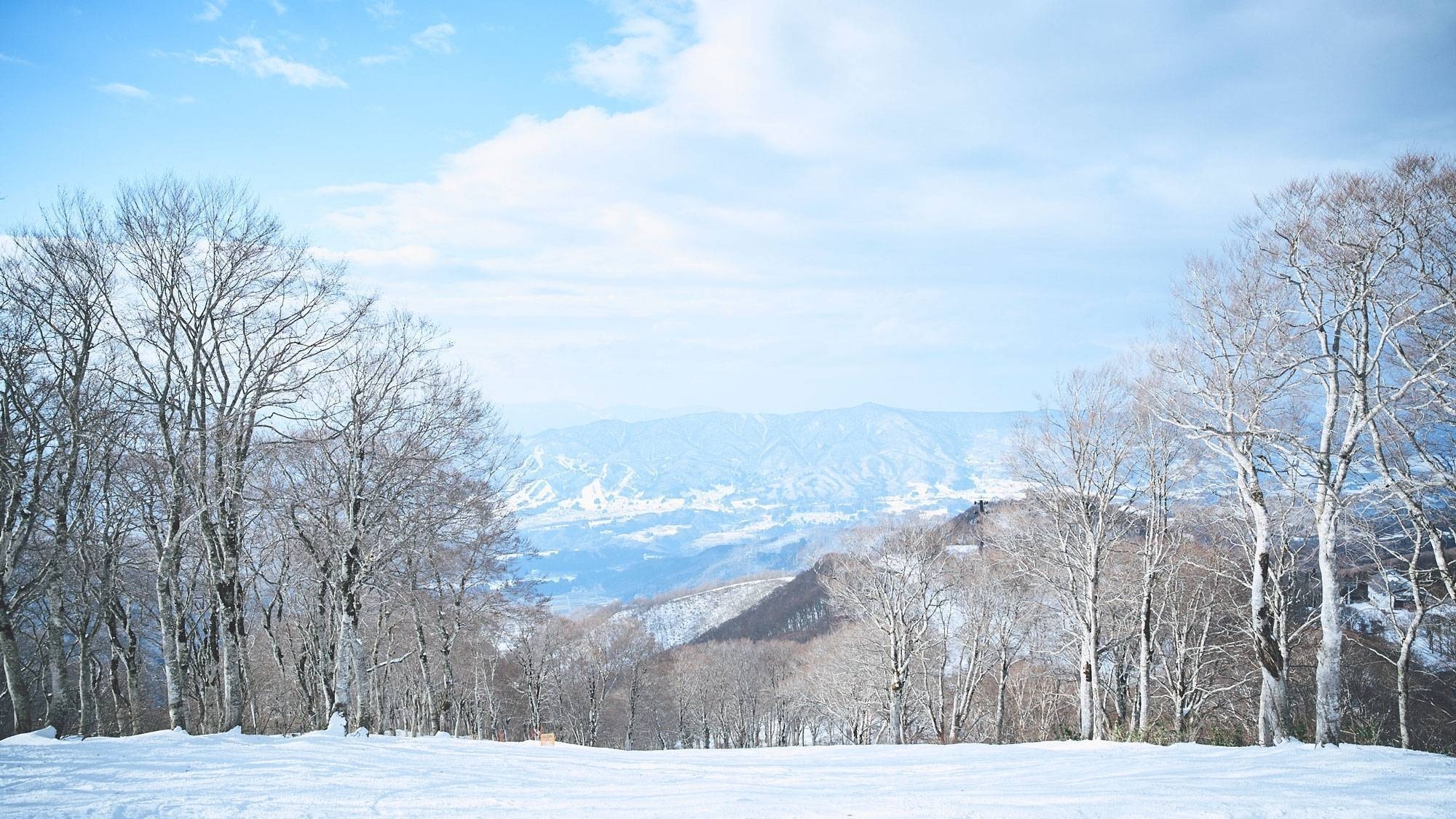 【スキーシーズン限定】奥信濃の旬を味わうこだわりのディナー付きプラン♪欧風ホテルでゆったり（2食付）