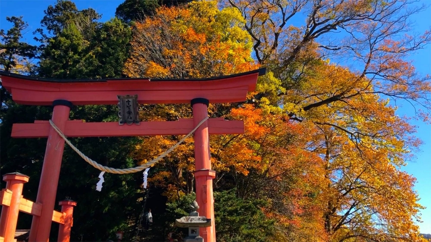 野尻湖の北西部に浮かぶ琵琶島にある神社、宇賀神社。琵琶島は自然豊かで散策にも最適です。