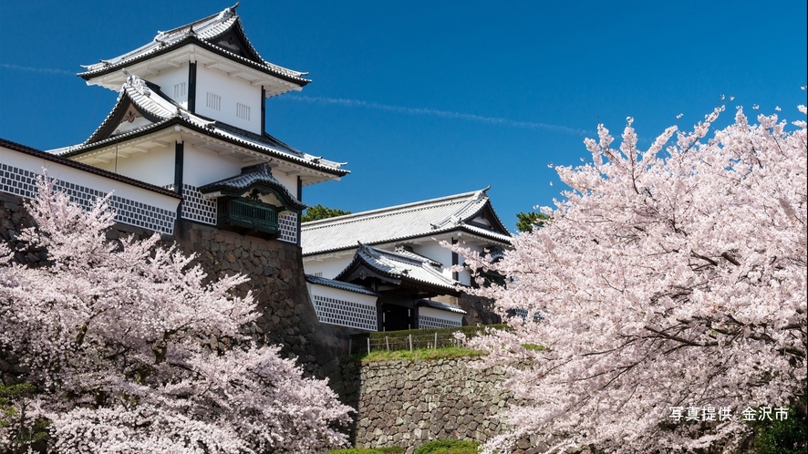 金沢城（春）