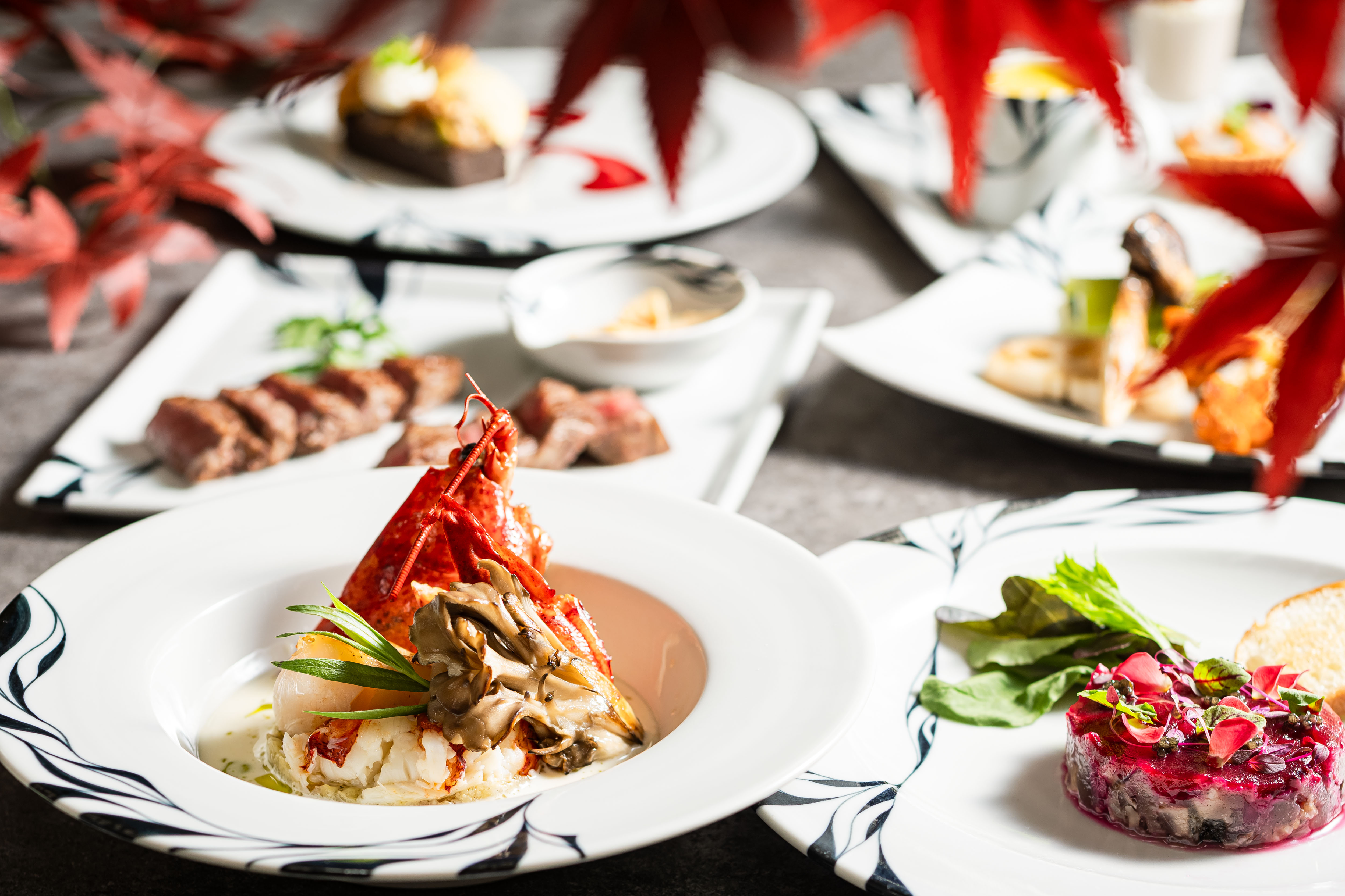 【石鎚】2025年秋おすすめコース「エラブル」