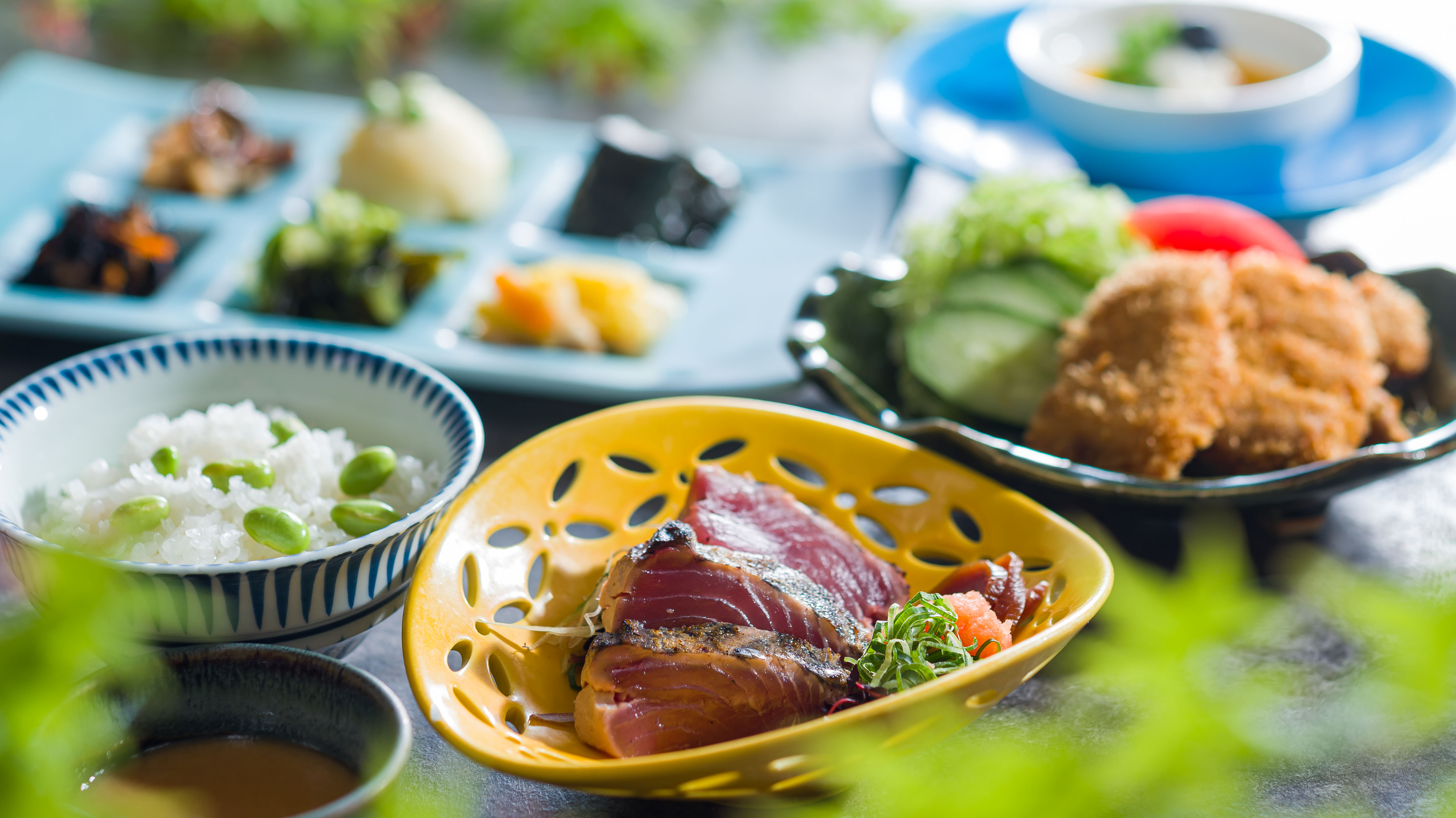 鰹塩たたきとヒレカツの和ごころ御膳