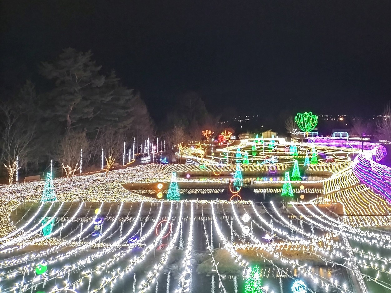 【大町温泉郷60周年記念宿泊プラン】アルプスあづみの公園チケット付／バイキングプラン