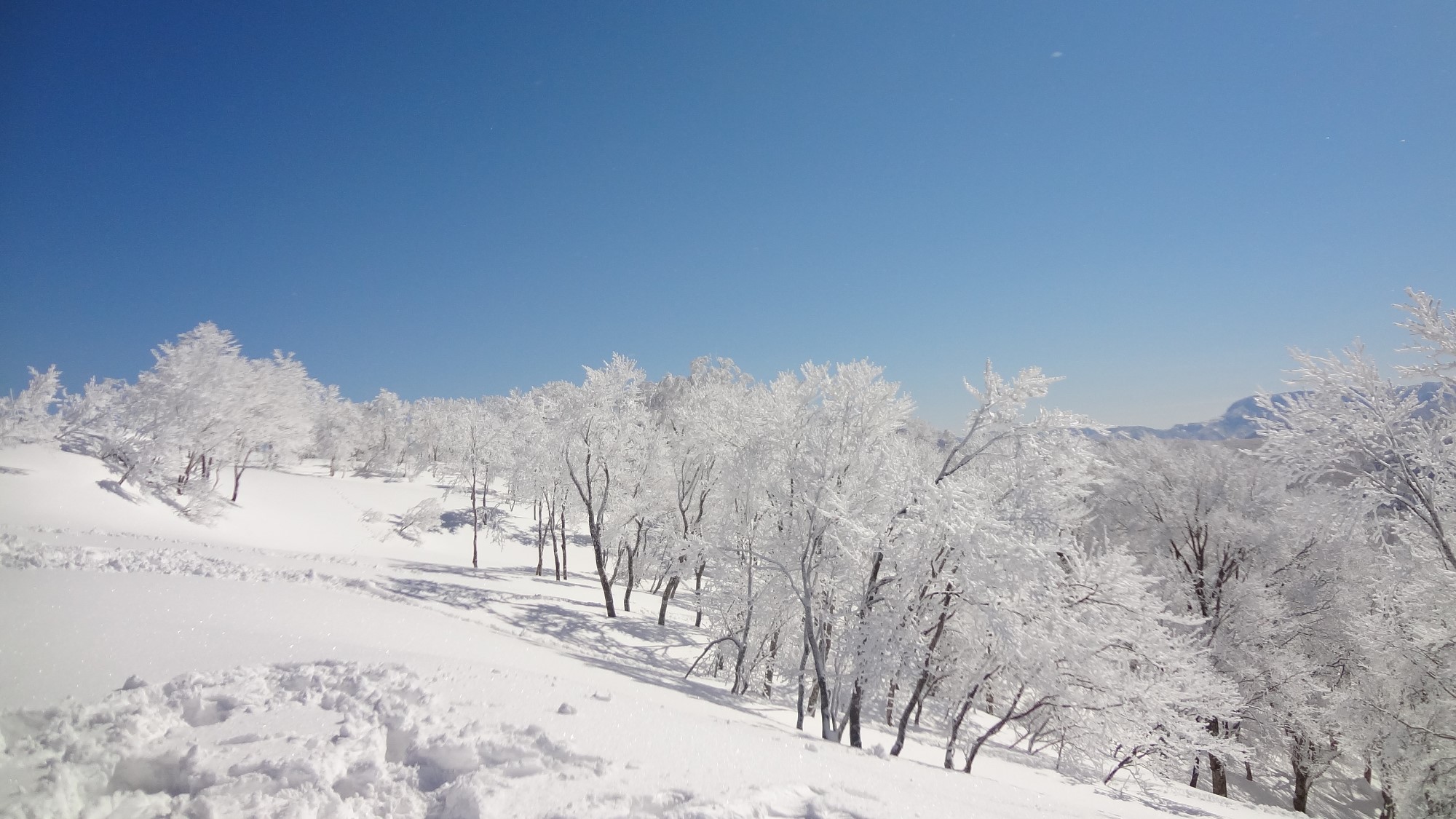 野沢温泉スキー場