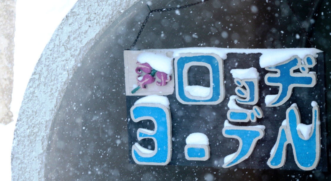 写真1