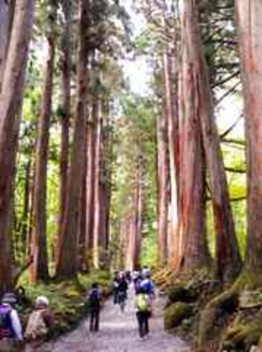 戸隠神社