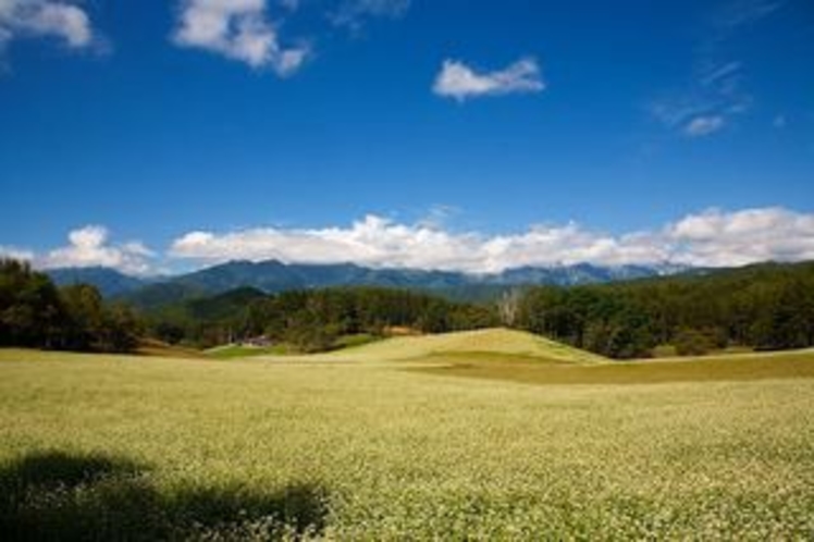 中山高原