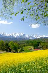 中山高原