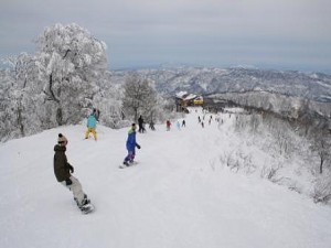 野沢温泉 リゾートイン あべ 設備 アメニティ 基本情報 楽天トラベル