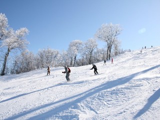 本物雪