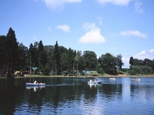 巣鷹湖