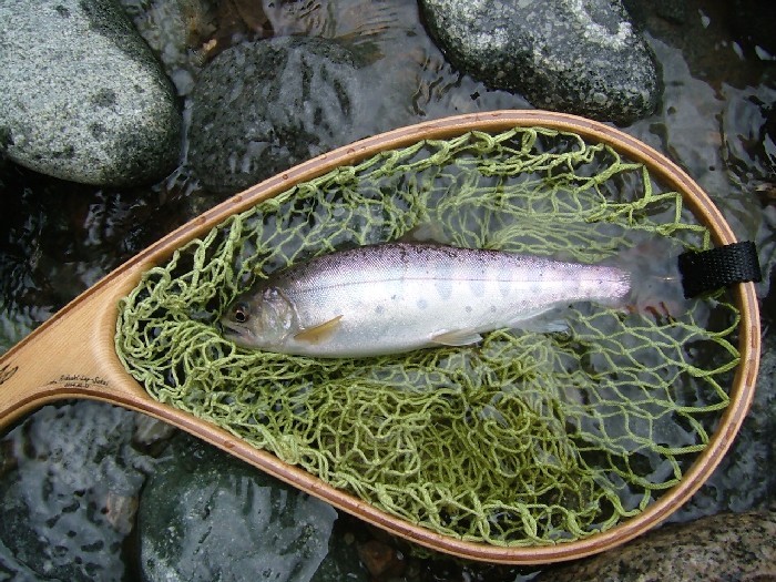 信州穂高安曇野 ログペンション さかい 宿泊予約 楽天トラベル