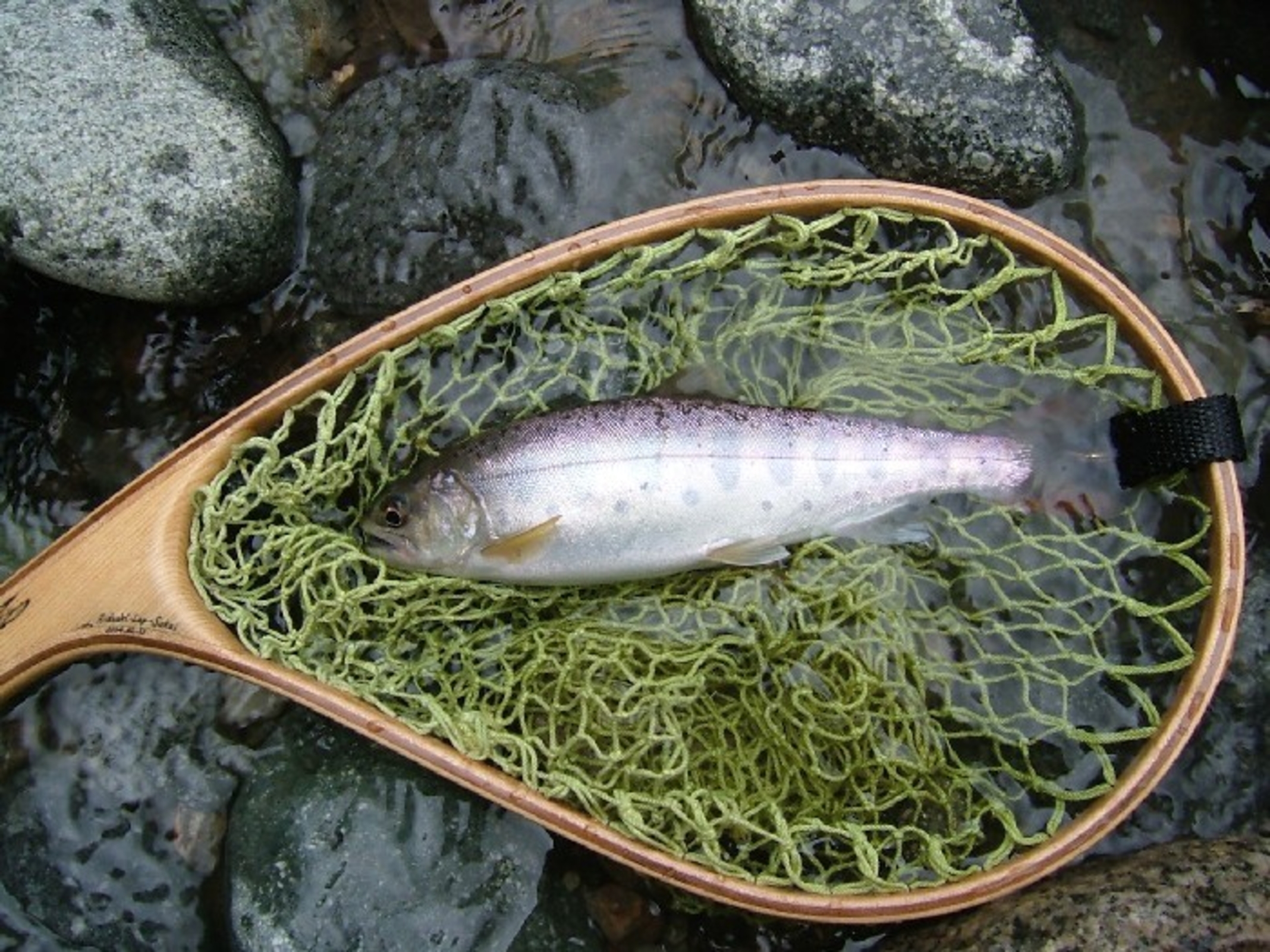 信州穂高安曇野 ログペンション さかい 宿泊予約 楽天トラベル 信州穂高安曇野 ログペンション さかい 宿泊予約 楽天トラベル