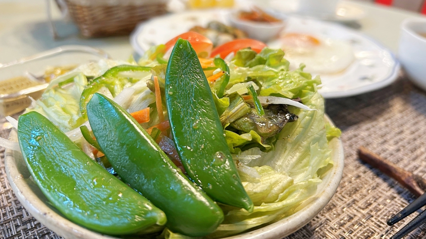 【スタンダードプラン／1泊2食付き】迷ったらこれ！安曇野の恵みを和洋折衷ディナーと手作り朝食で味わう