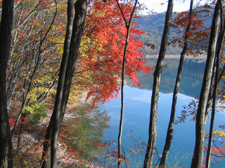信州穂高安曇野 ログペンション さかい 宿泊予約 楽天トラベル 信州穂高安曇野 ログペンション さかい 宿泊予約 楽天トラベル