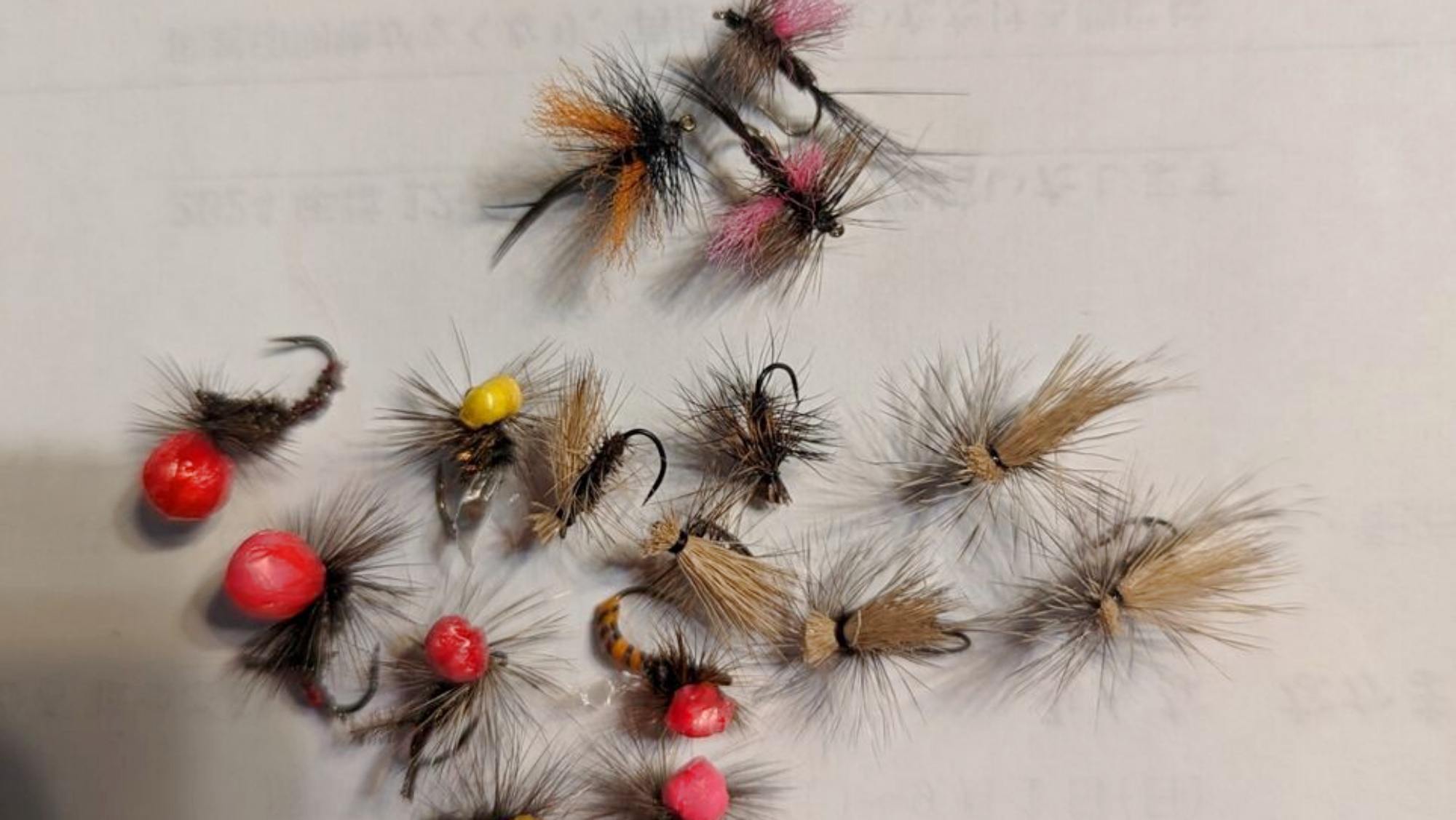 ＊フライフィッシング（一例）オーナーと一緒にフライ（欧米式毛針）作りも体験可能。事前にご相談下さい