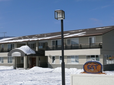 Penampilan musim dingin