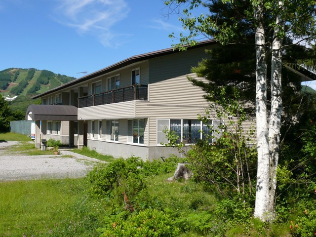 Penampilan musim semi