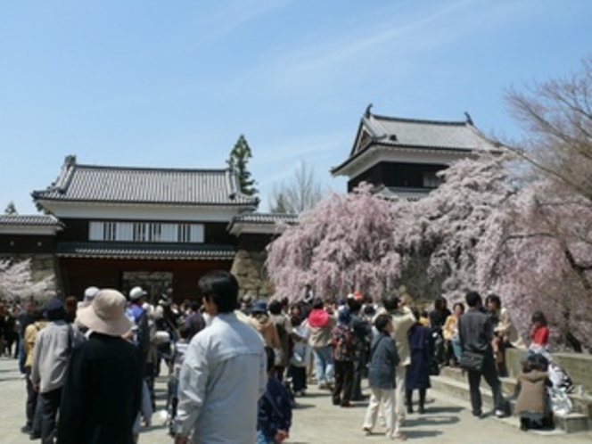 千本桜祭り