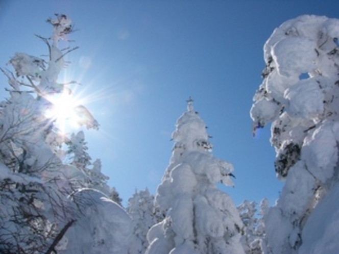 樹氷＆太陽
