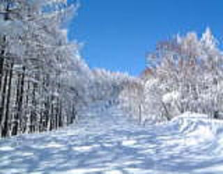 年末年始・1月連休 1泊2食  忍者スノーハイランド中学生以下リフト無料＆菅平スキー場へも車5分