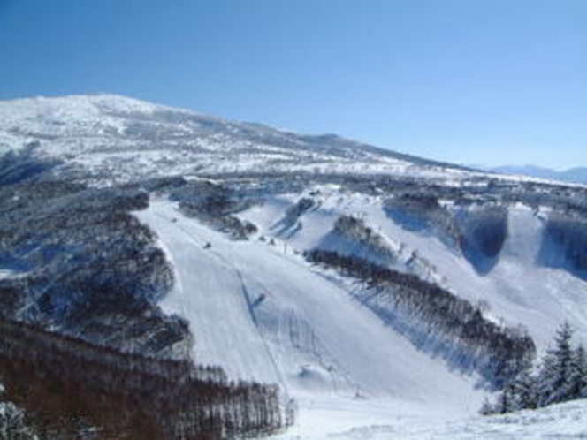 すり鉢状の峰の原ゲレンデ