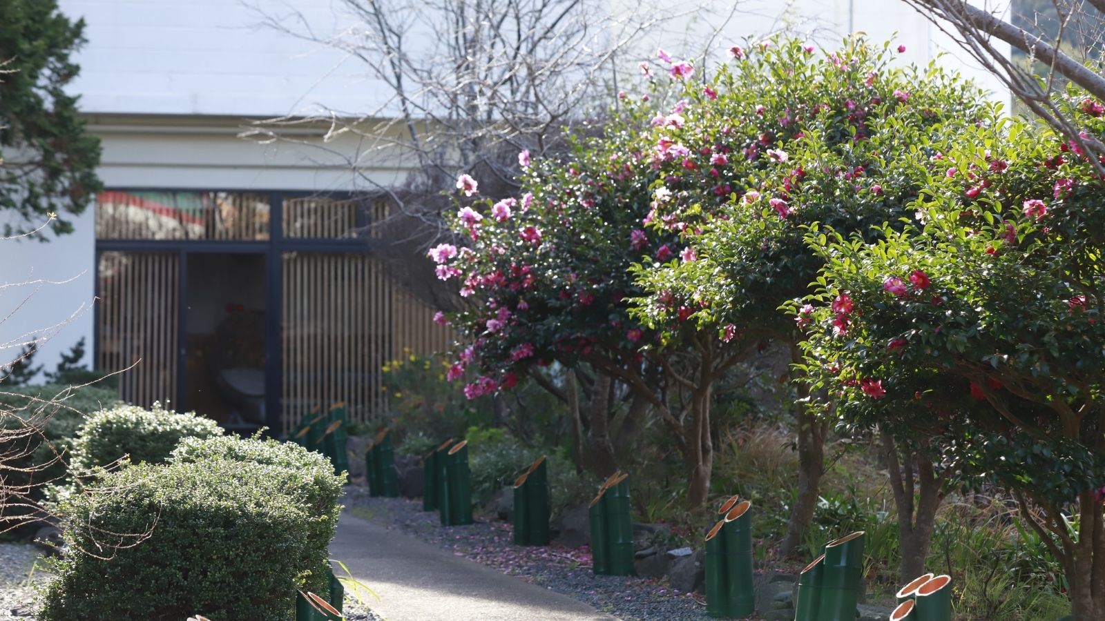 【外観】自然の中で輝く笑顔、心温まるひととき