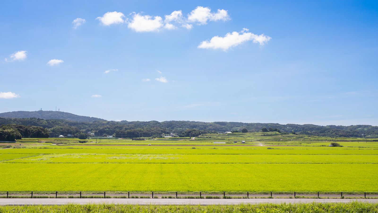 【深江田原平野】