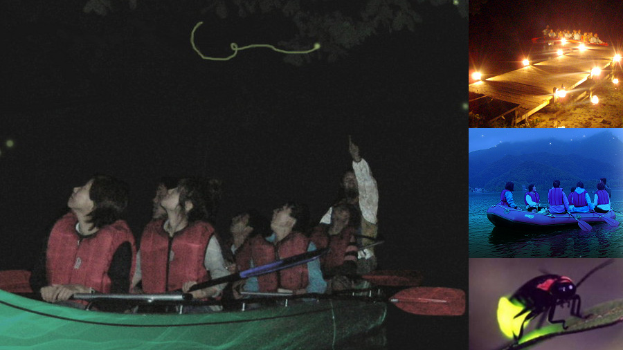 【ナイトレイクホタルと星の観賞ツアー】夜の青木湖でボートからホタルや星を観察