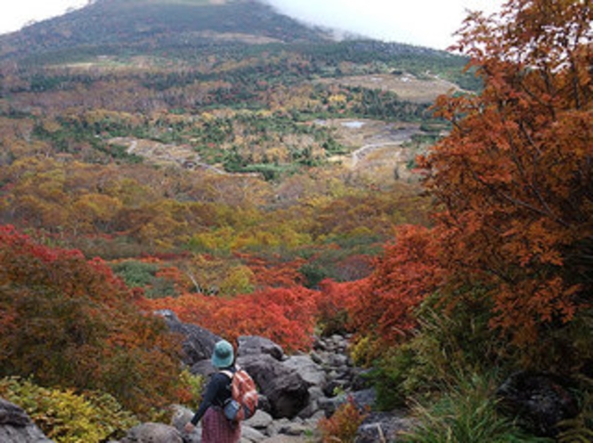 栂池自然園から白馬乗鞍岳へ