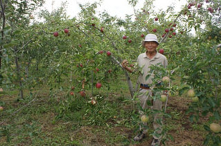 信州産果実　あんず、りんご、プルーン、ブルーベリーなど農園から直接仕入れてます