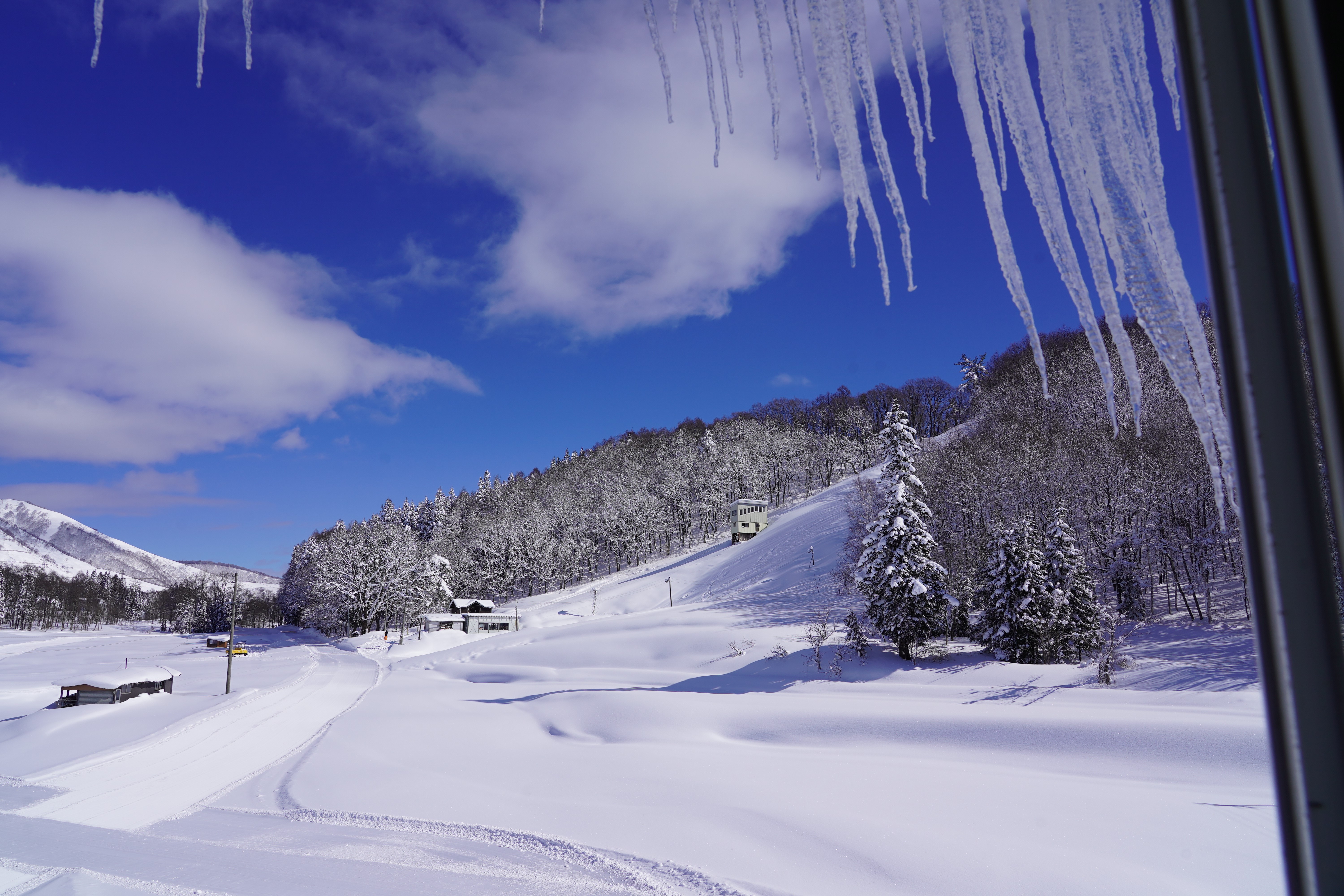 窓の外は雪原が広がる