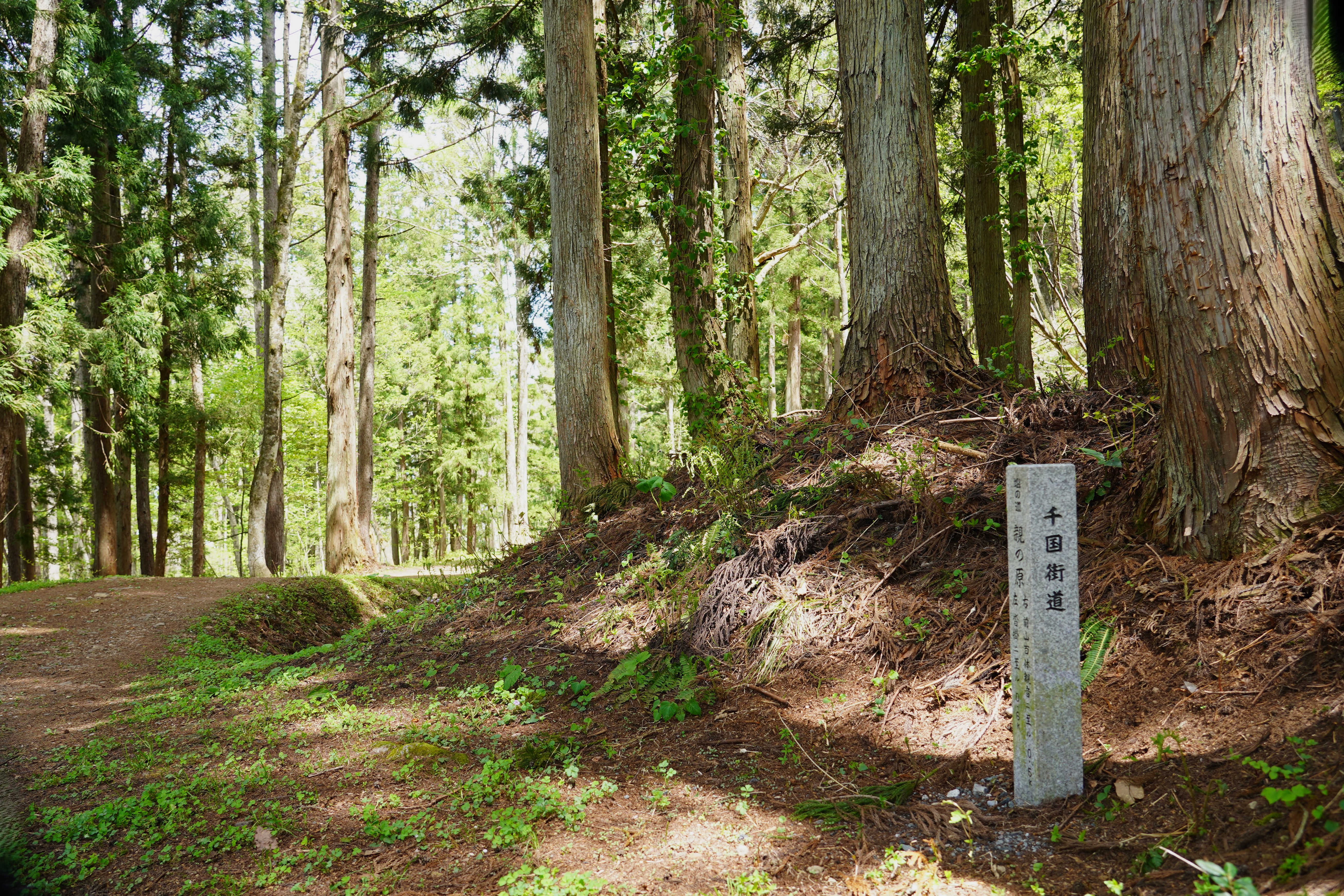 塩の道