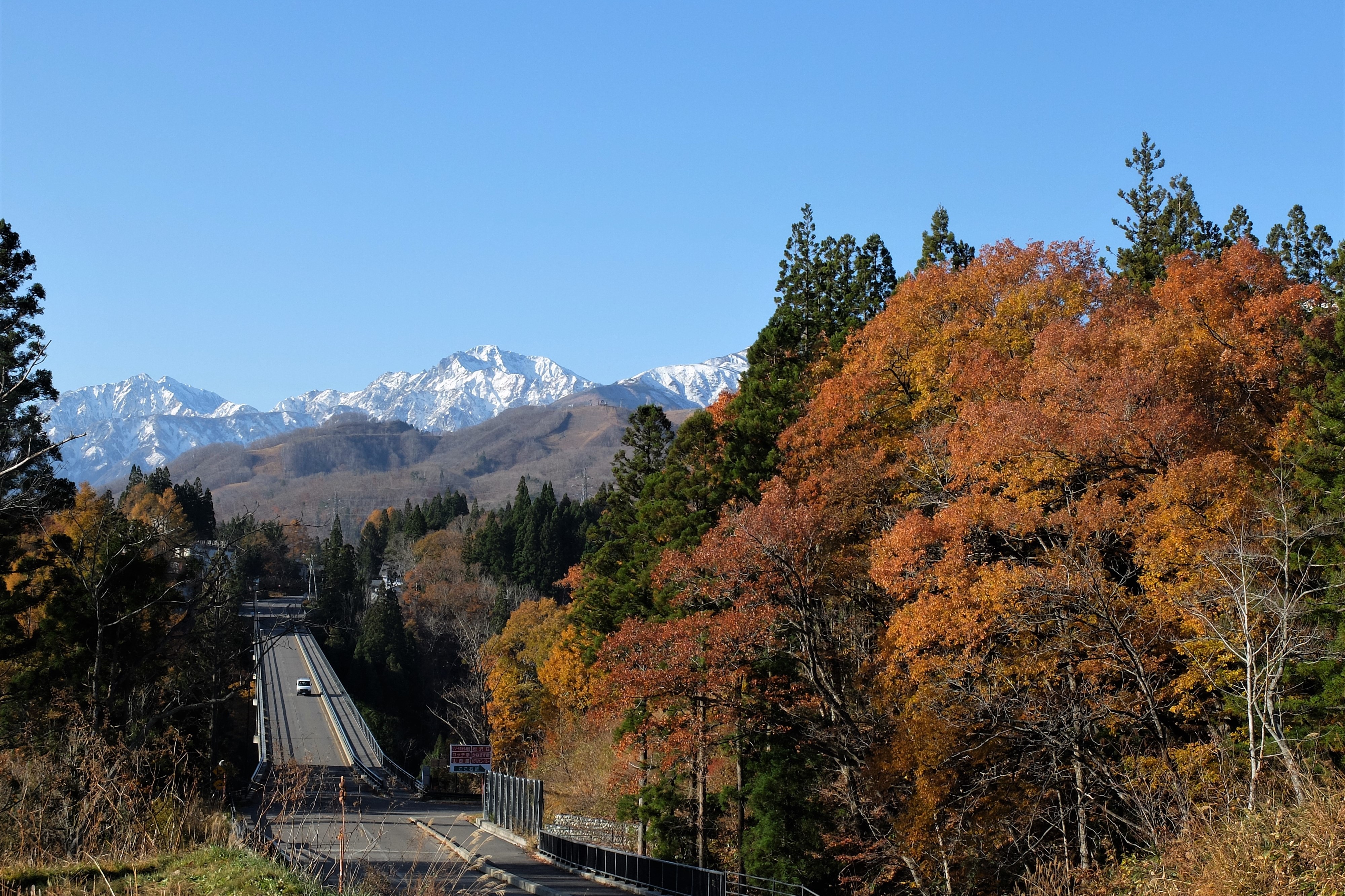 栂池パノラマ橋　徒歩10分