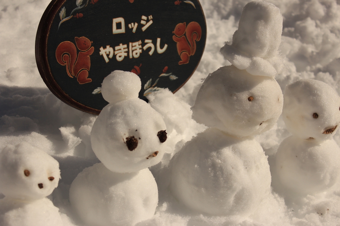 【年末年始限定】裏ダボスゲレンデまで徒歩1分♪手づくり洋風ディナーとおもてなしのあったかプラン