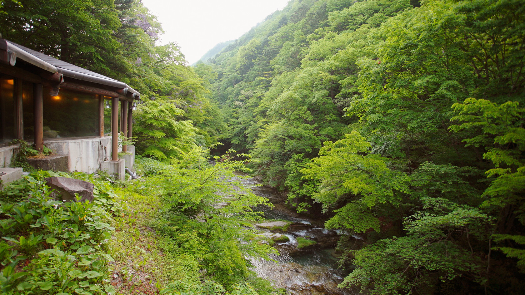 温泉のすぐ前は豊かな自然が広がります。