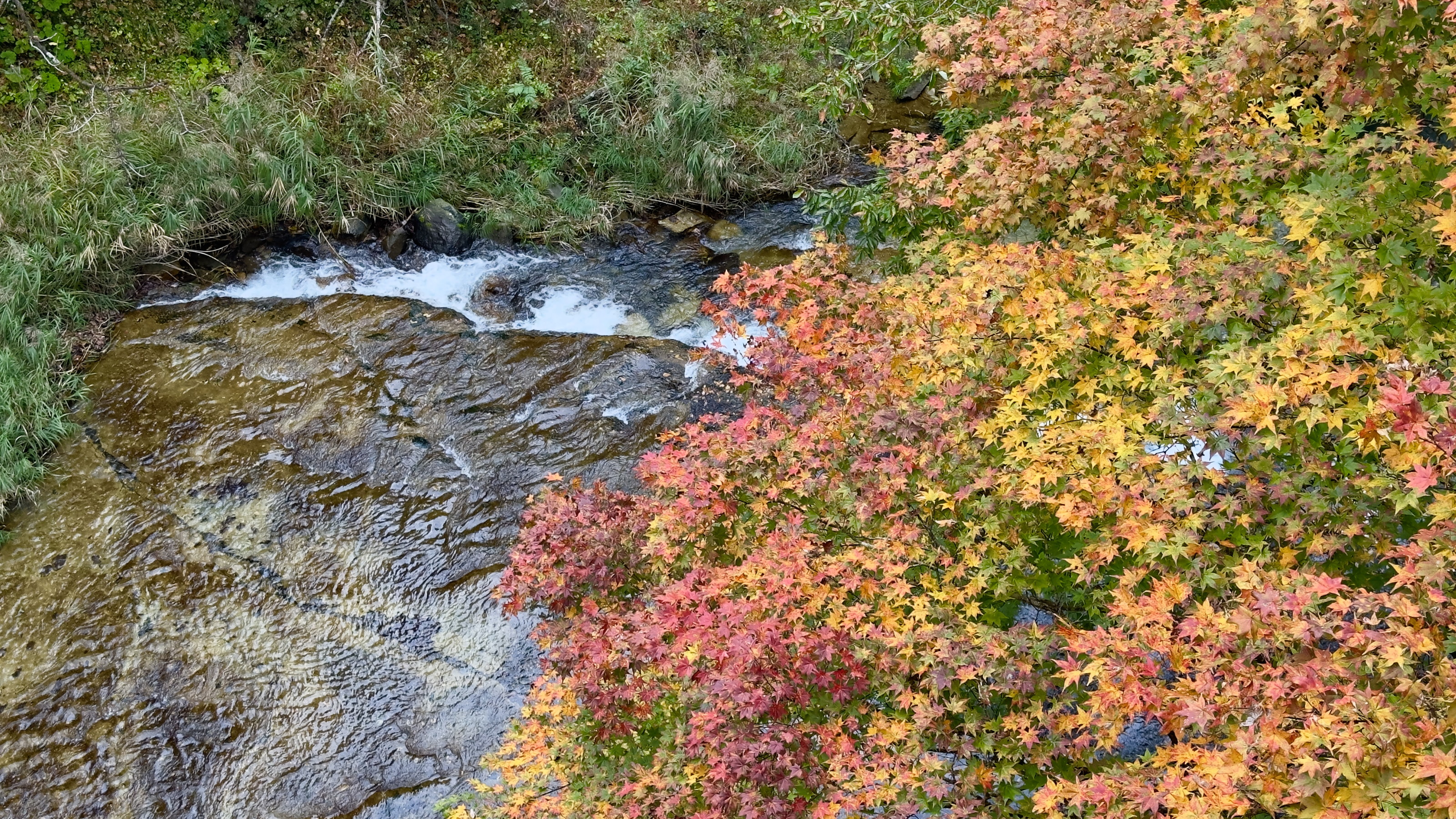 【湯西川の紅葉】施設周辺の湯西川の風景