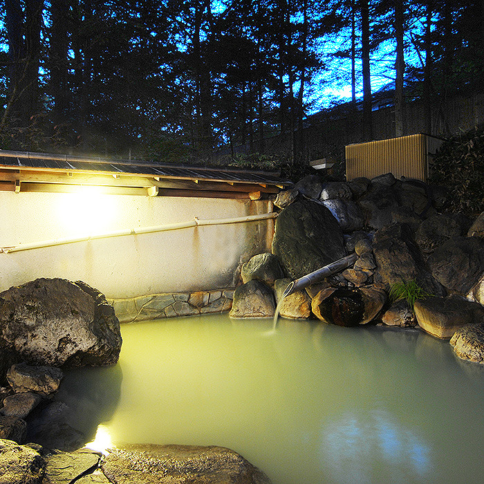 【素泊まり】お部屋と温泉があればいいという方に！食事なしプラン｜全国で４番目に濃い温泉に入ろう！ 