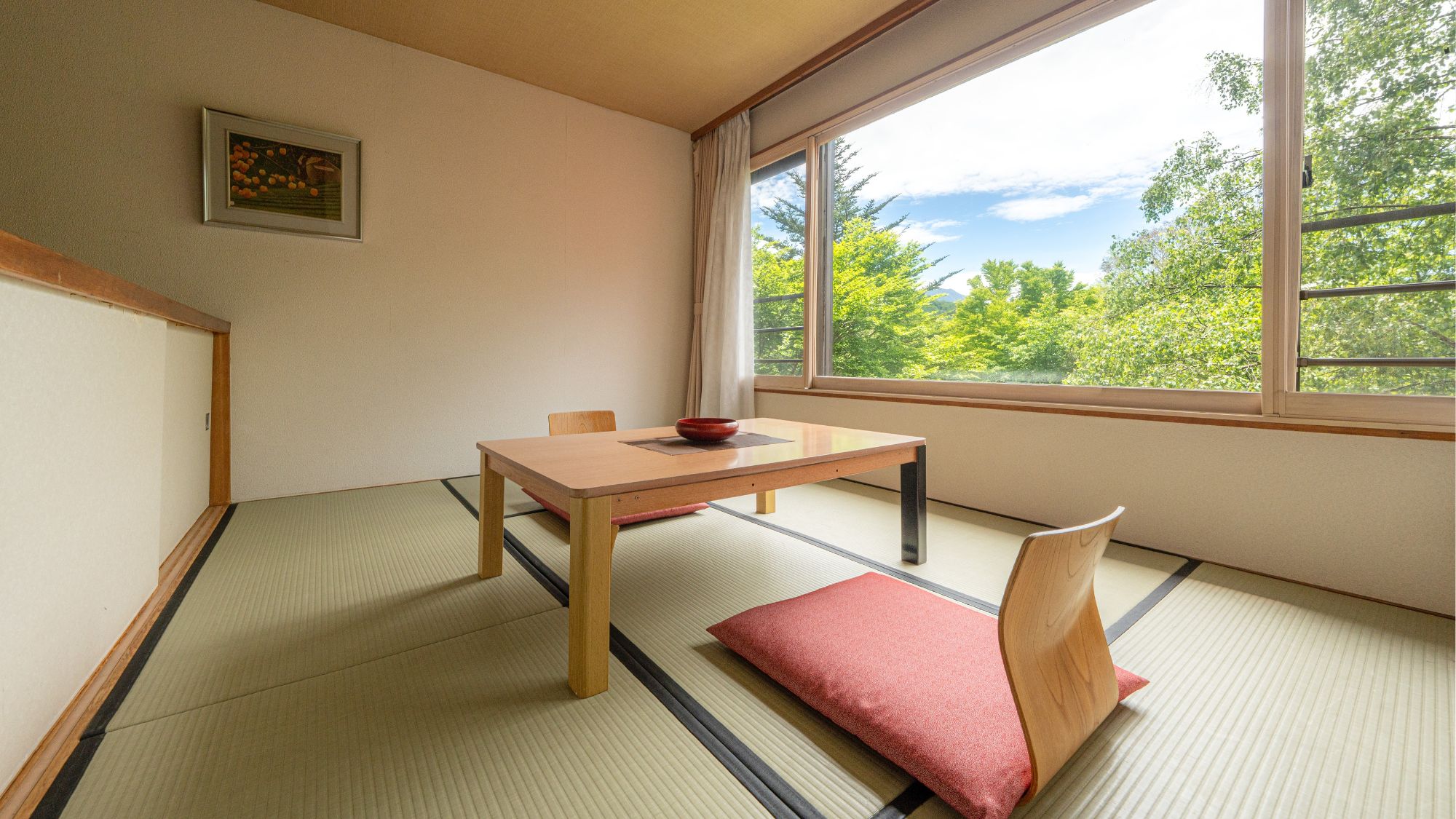 一般和洋室-畳スペース