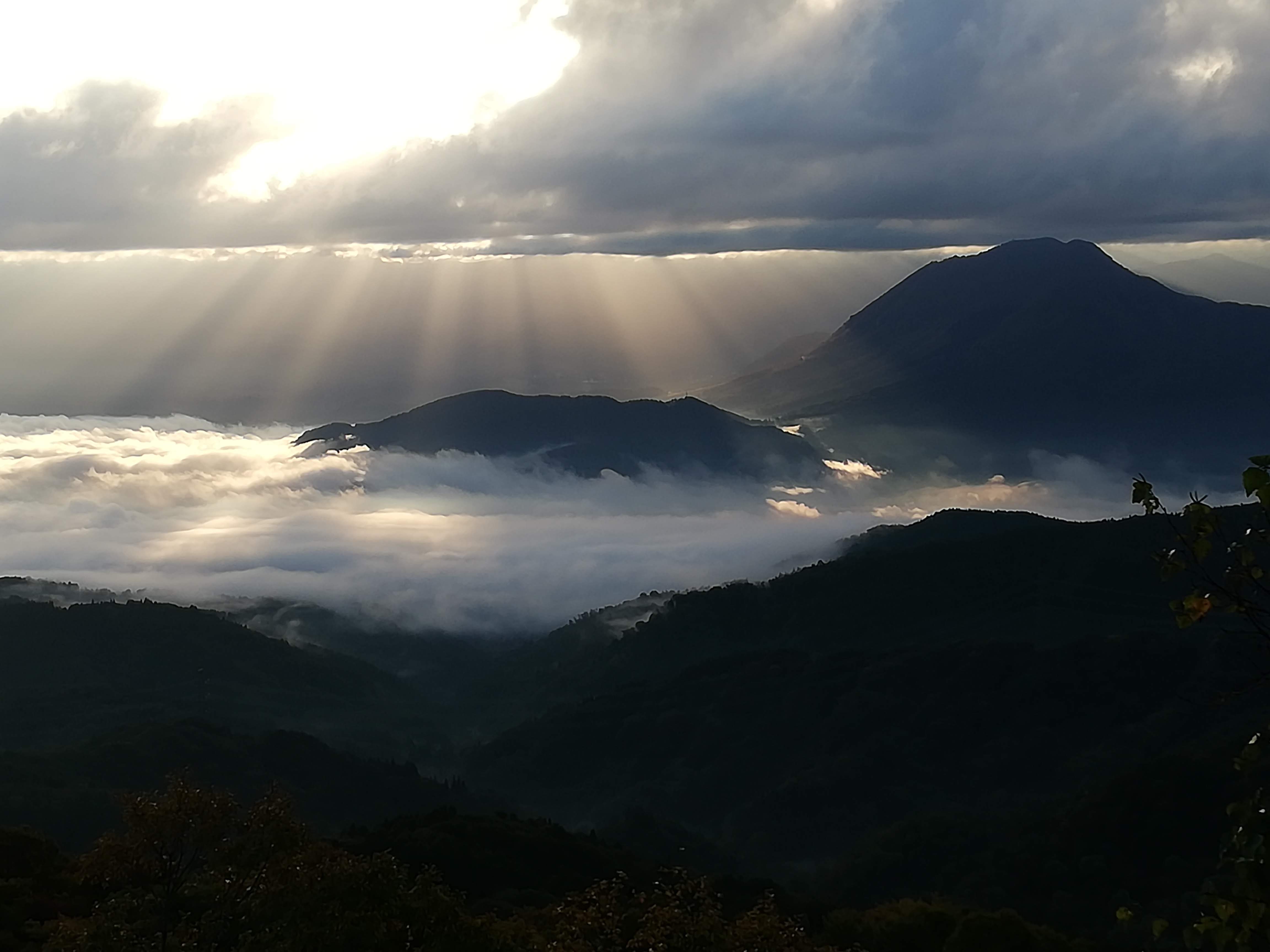 窓の景色　朝