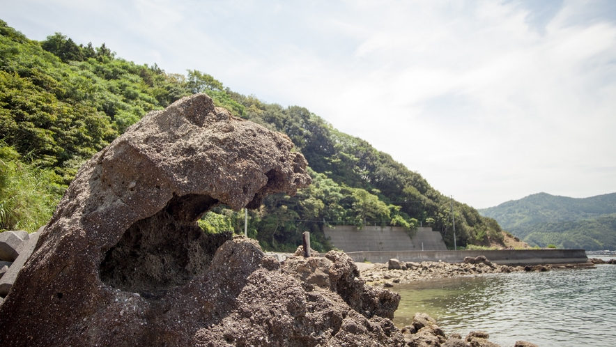 九島　ゴジラ岩