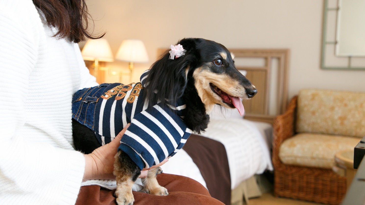 【ペットと宿泊】備品充実・ドッグラン完備｜自然に囲まれたリゾート＜食事なし＞