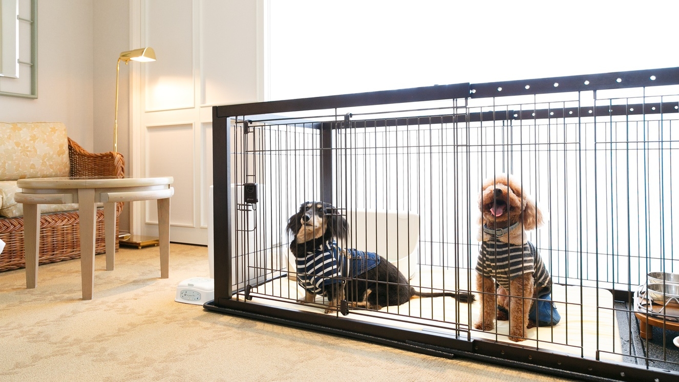 【ペットと宿泊】備品充実・ドッグラン完備｜自然に囲まれたリゾート＜食事なし＞