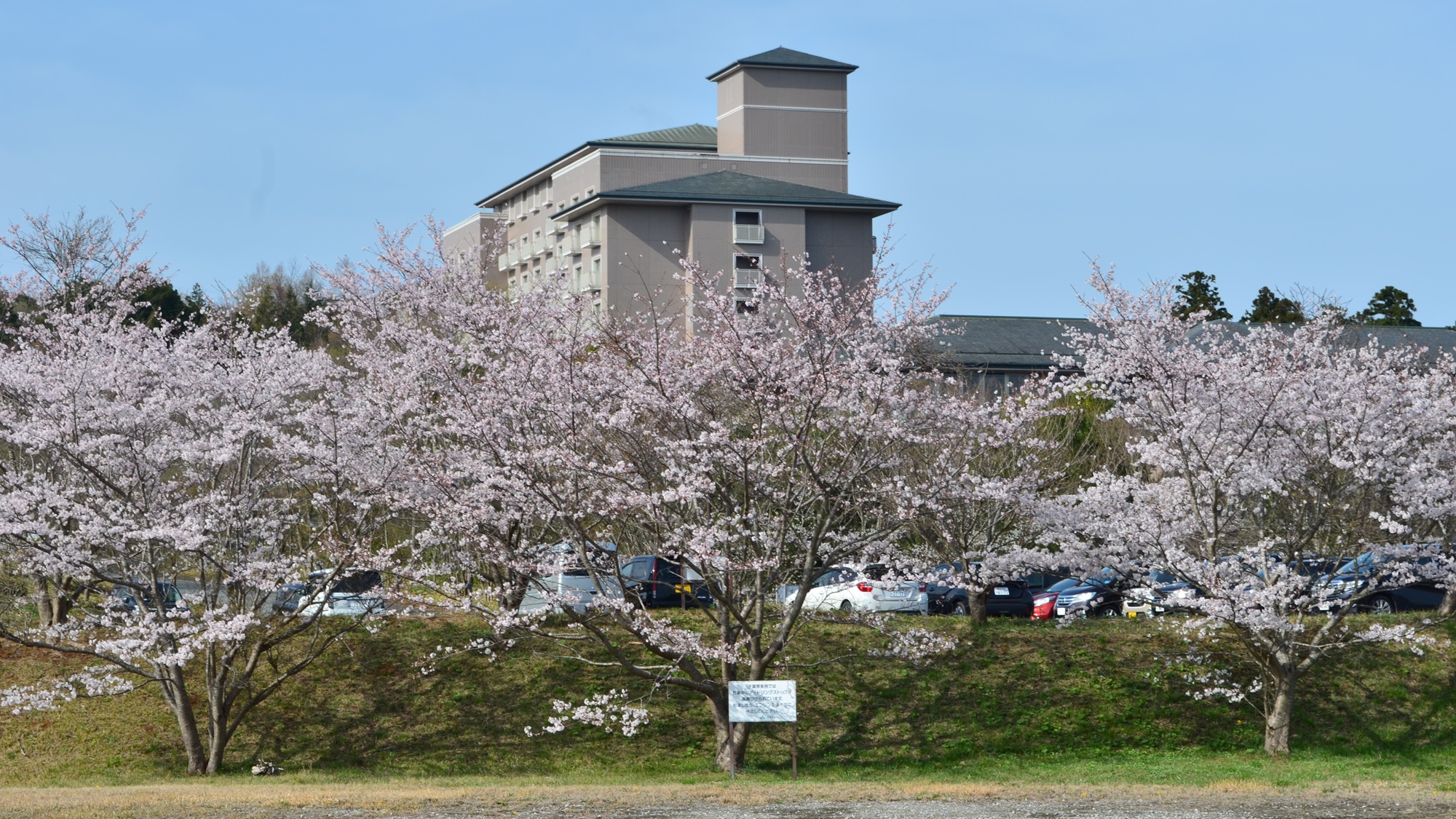 【春のホテル外観】桜咲く季節、春の美しさを感じる滞在をお楽しみください。