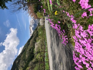 ペンションから望む谷川岳