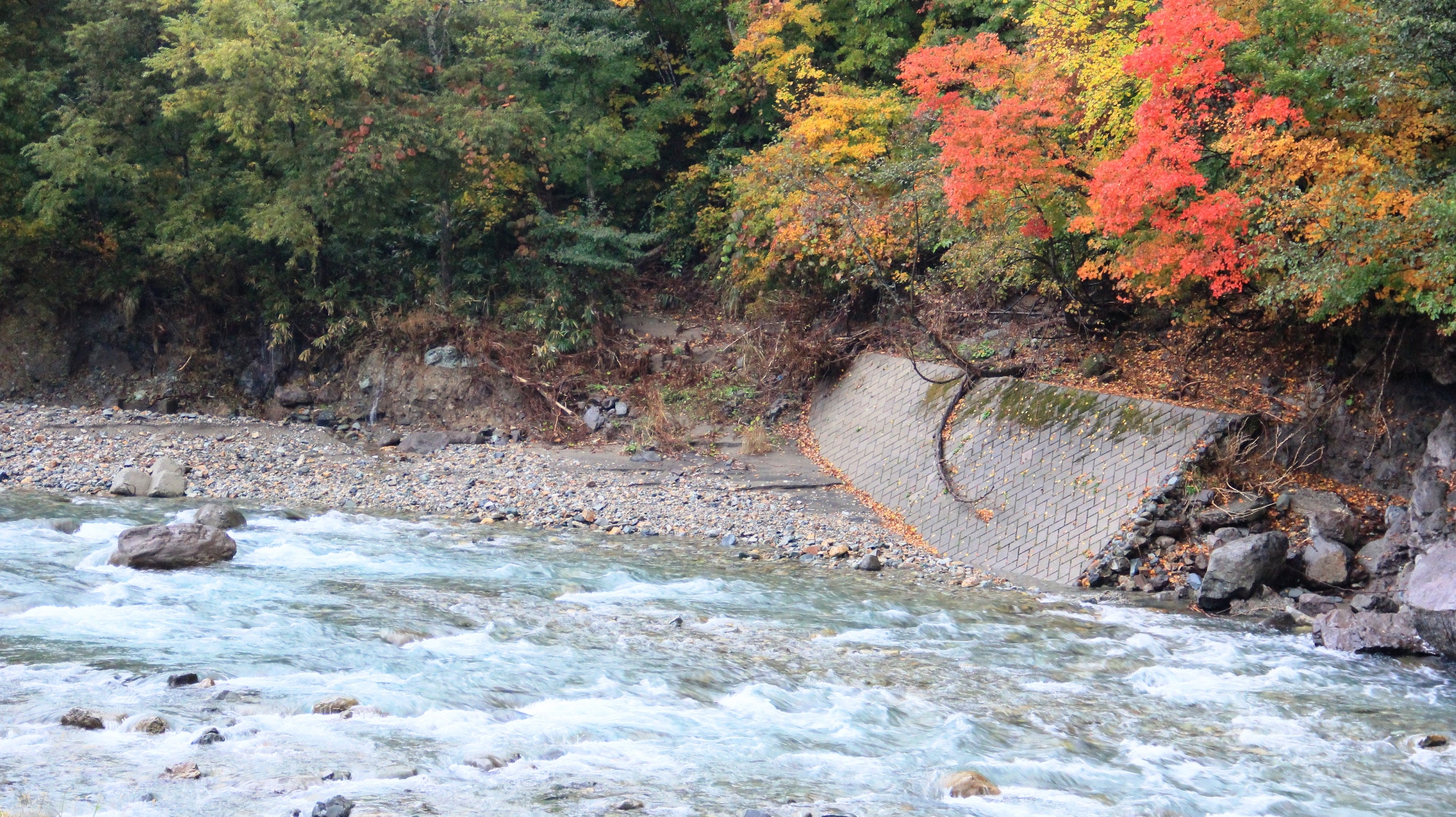 当館目の前には中津川が流れます