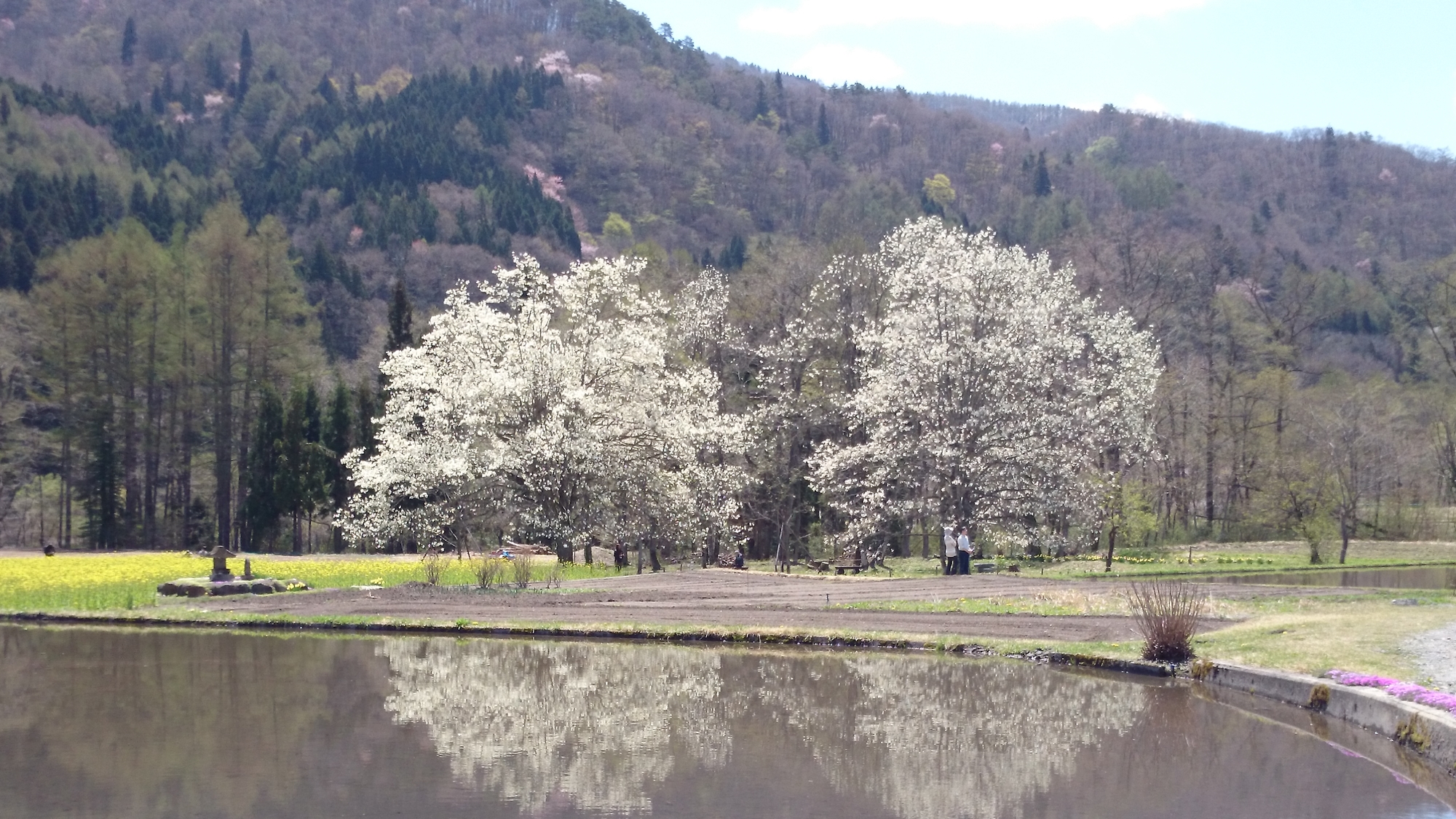 *[白馬の景色・春]早春ならではの瑞々しい風景が待っています