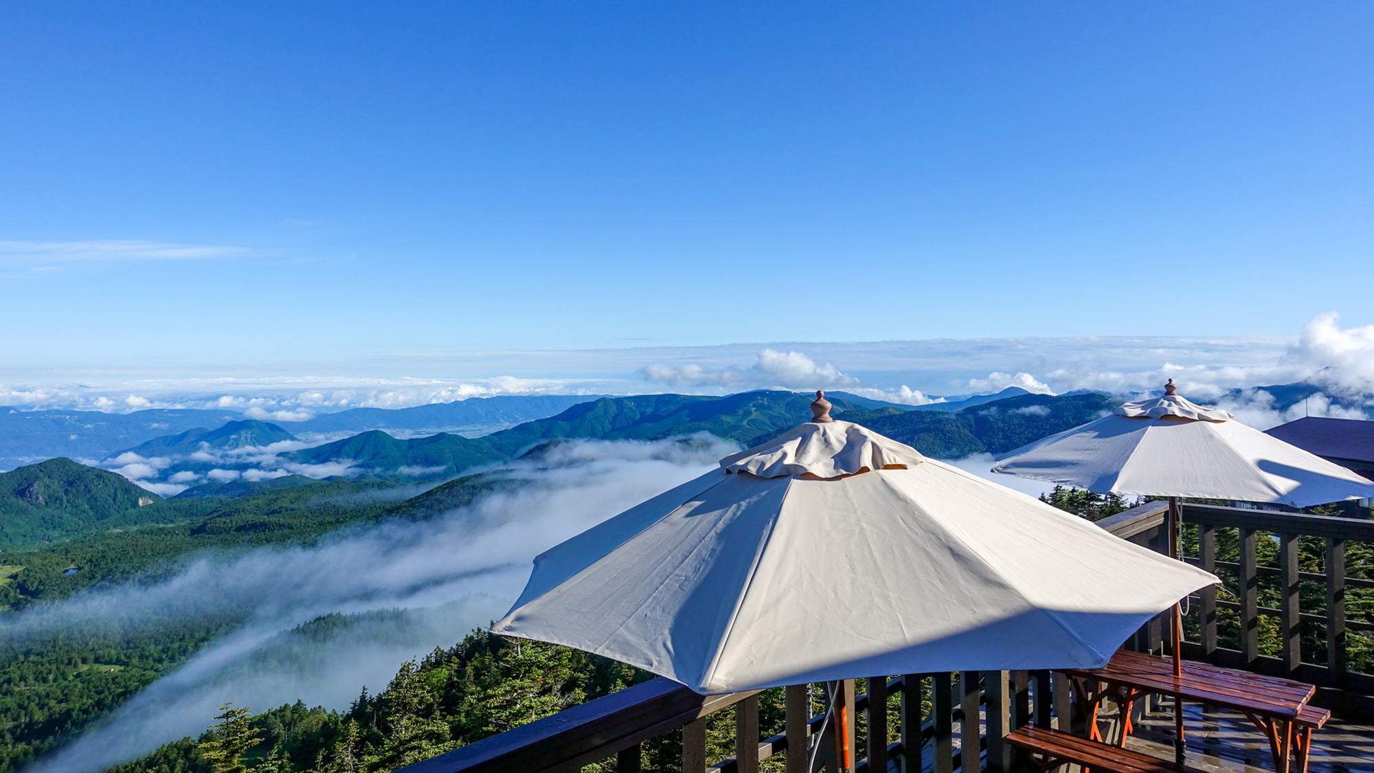 スカイレーターに乗って山頂へ！