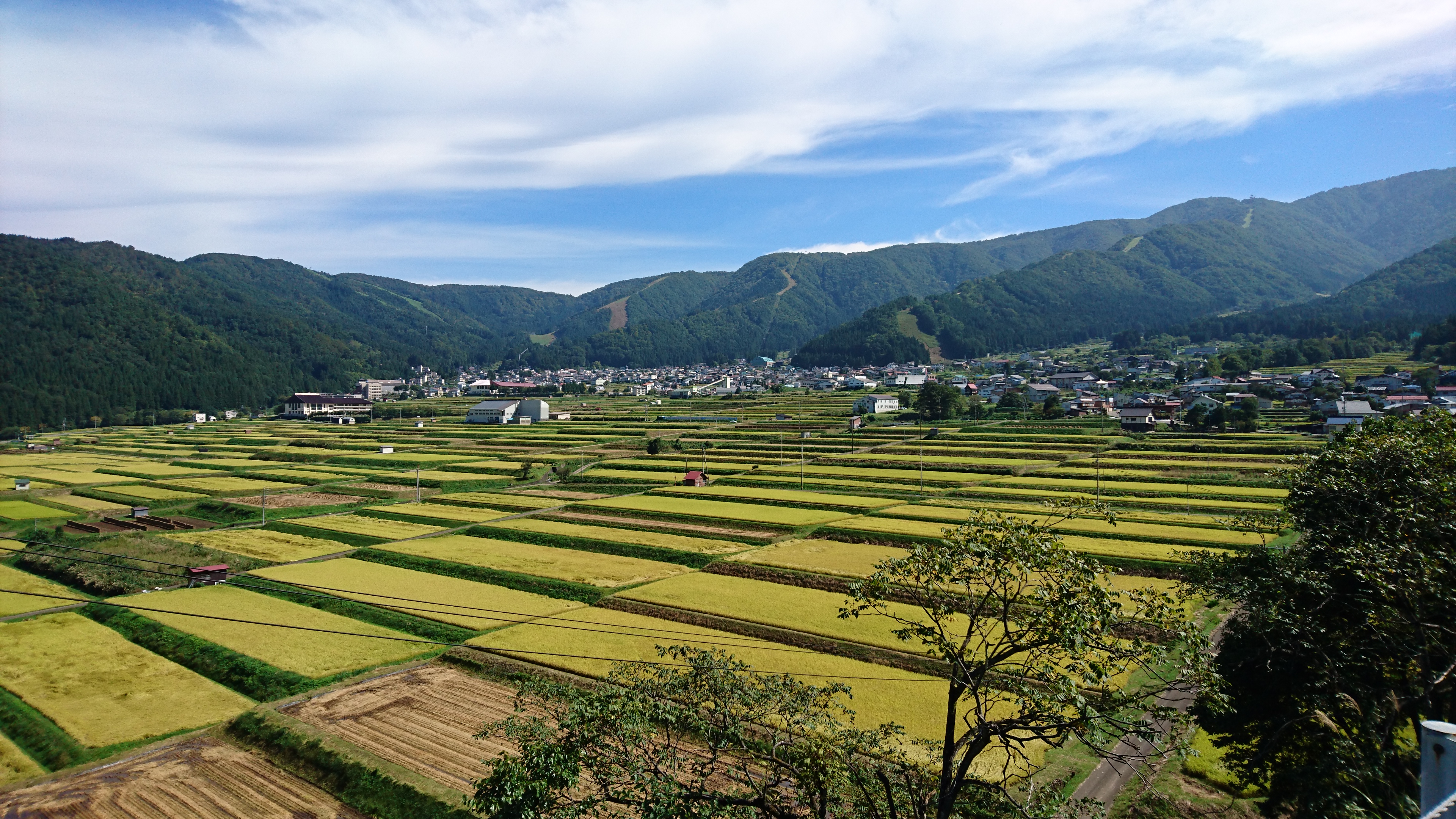 野沢温泉に広がる田んぼ