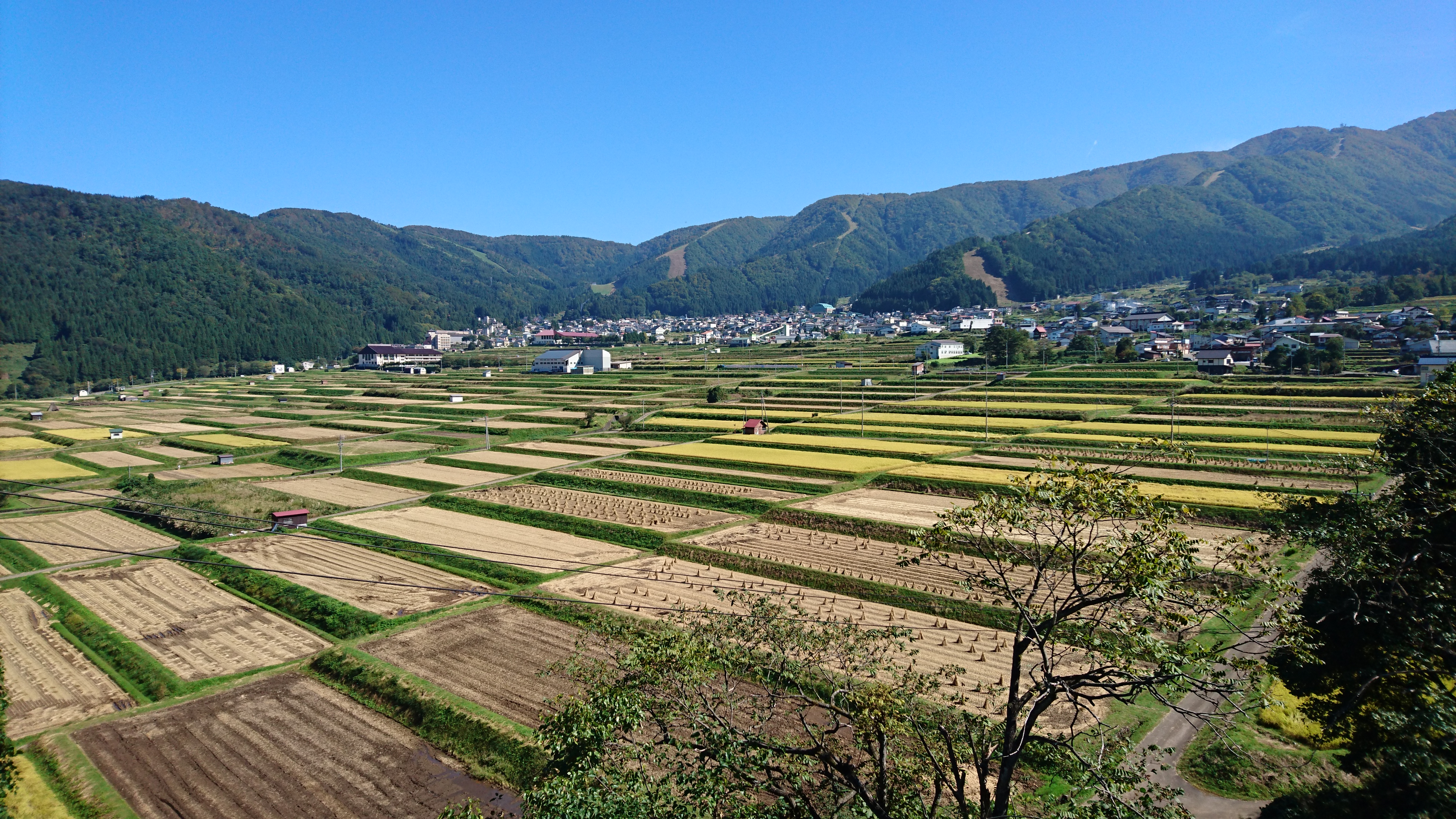 野沢温泉に広がる田んぼ